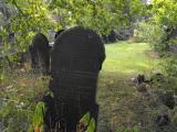 image of grave number 98826